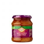 Het Mango Chutney 340g