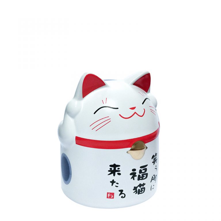 kattmugg1