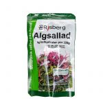 Algsallad