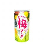 Sangaria Ume-dryck Japanska Syrliga Plommon 190g