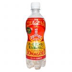 Mitsuya Äppelcider Tsugaru 460ml
