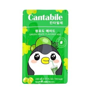 Koreansk isdryck på påse Muskatdruva 190ml