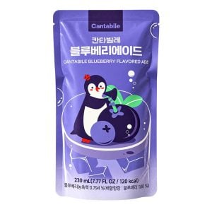Koreansk isdryck på påse Blåbär 230ml